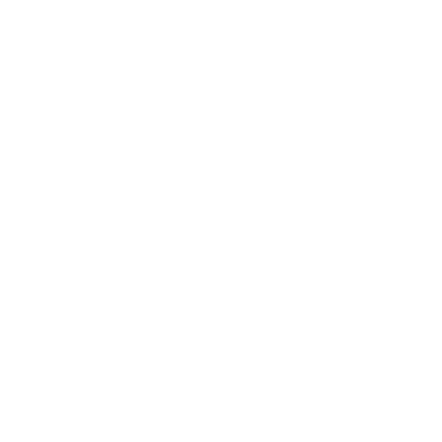 white store outline icon